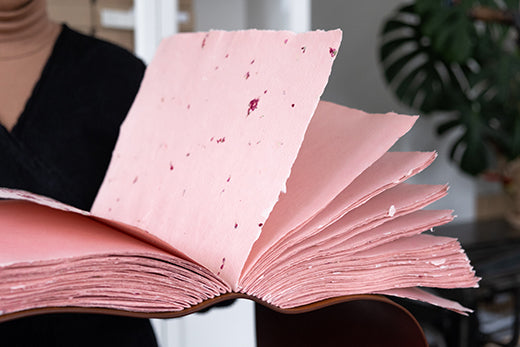 Galéria 2 obrázok 3