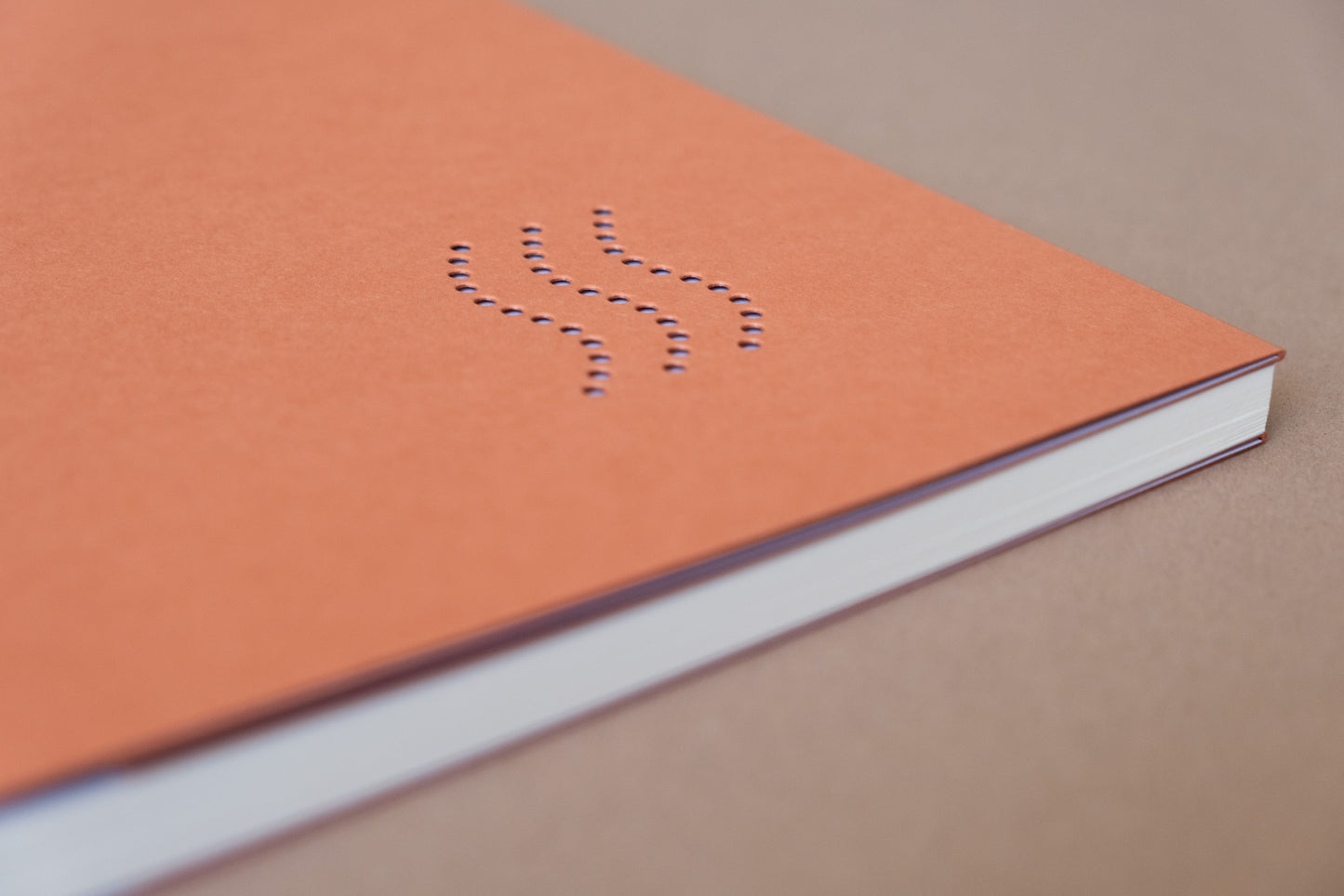 Receptár Tereza slovensko–anglický