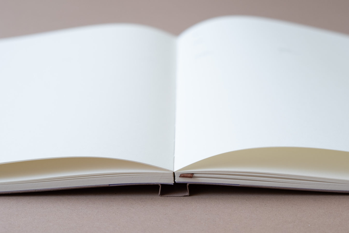 Receptár Tereza slovensko–anglický