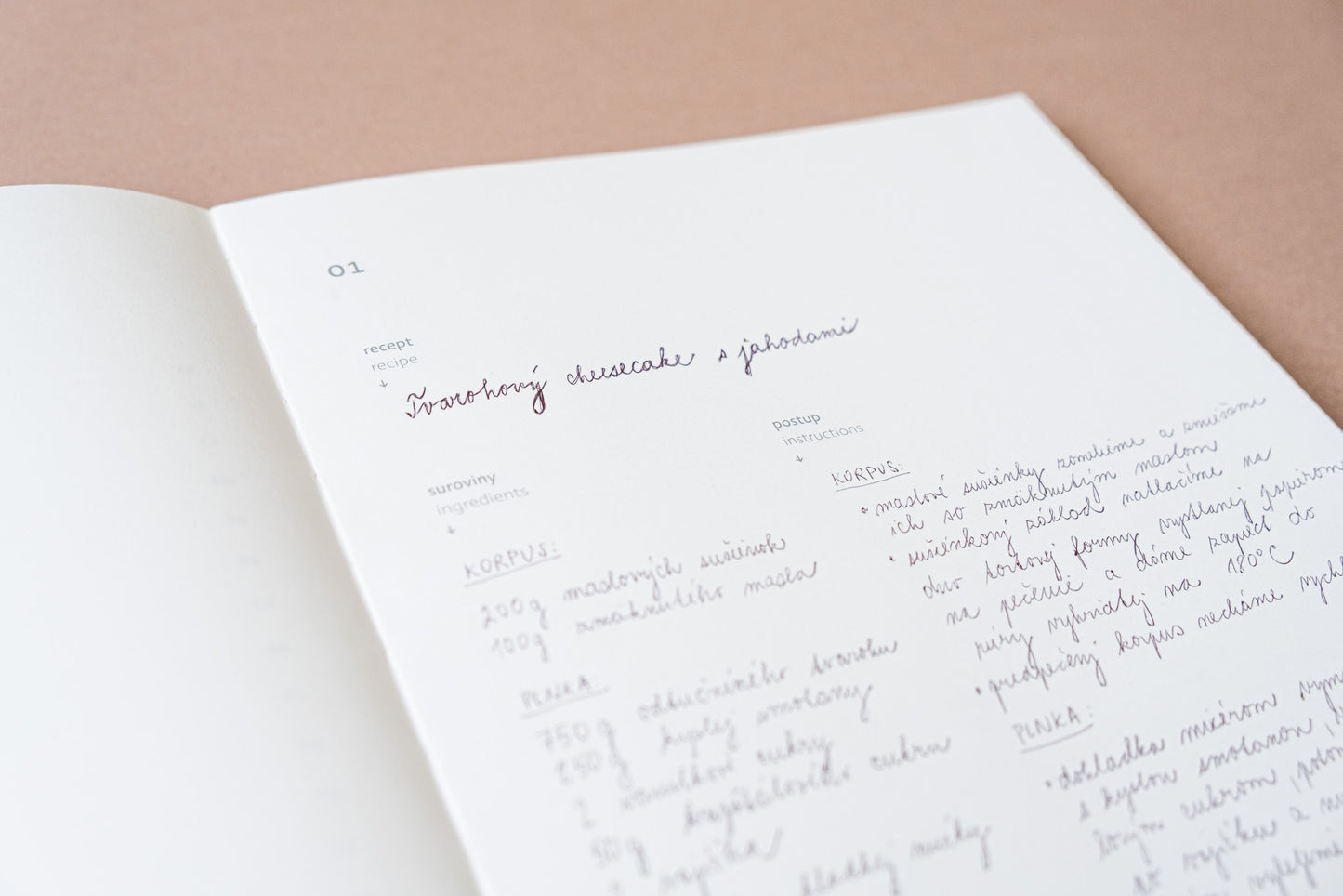 Receptár Tereza slovensko–anglický