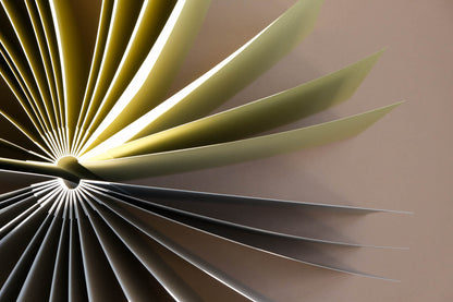 Papierový album Hana