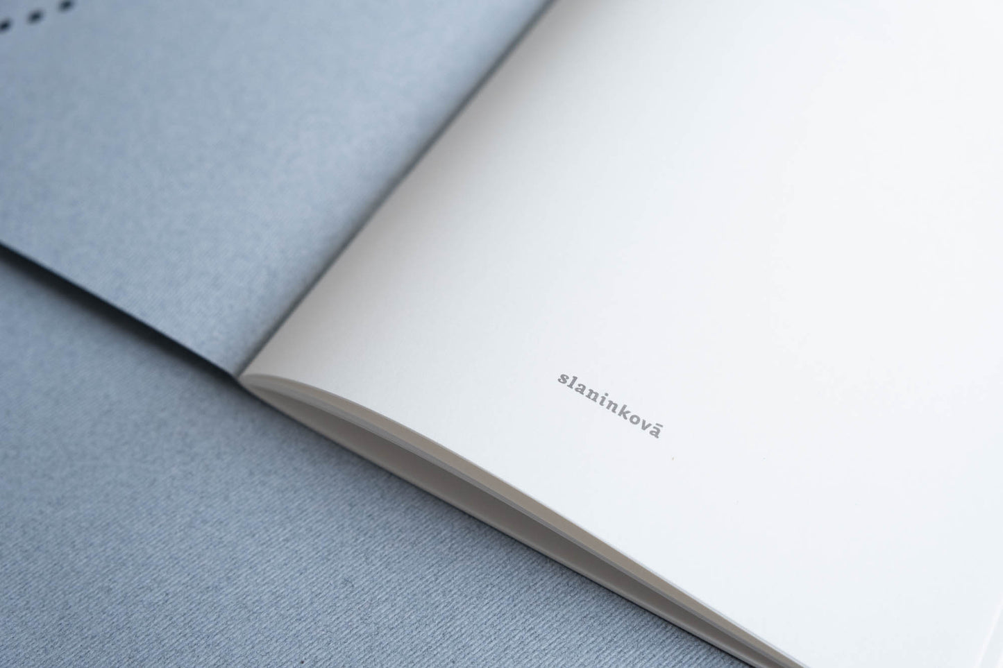 Mesačný diár 2026